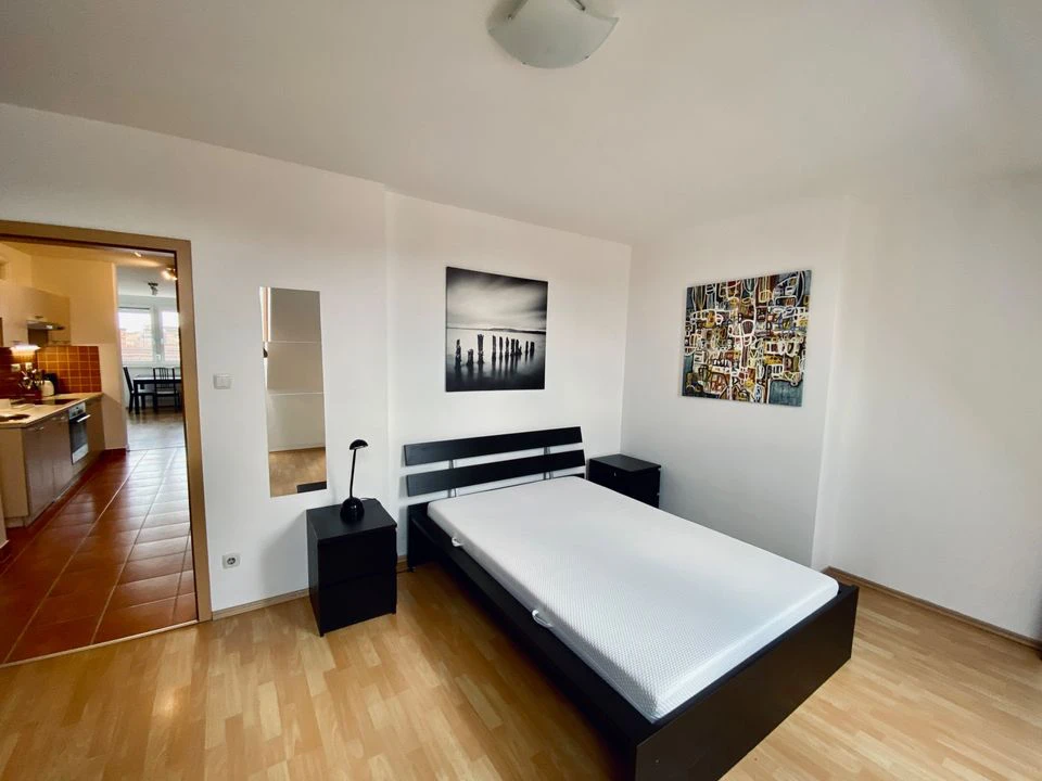 3-bedroom apartment by City Park