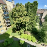 Quiet 1-bedroom apartment in District IX – Budapest District IX, Viola utca – photo 8