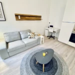 Nicely furnished 1-bedroom apartment at Oktogon – Budapest District VI, Teréz körút – photo 5