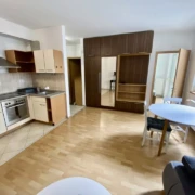 1+1-room apartment with garden access